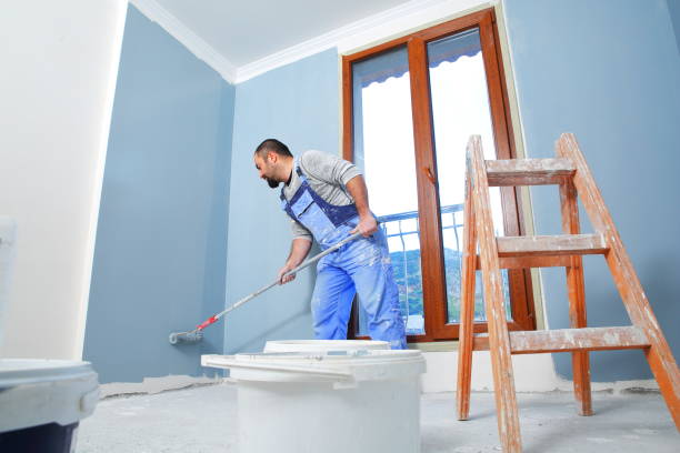 Dehumidification Services in Lincoln, AL