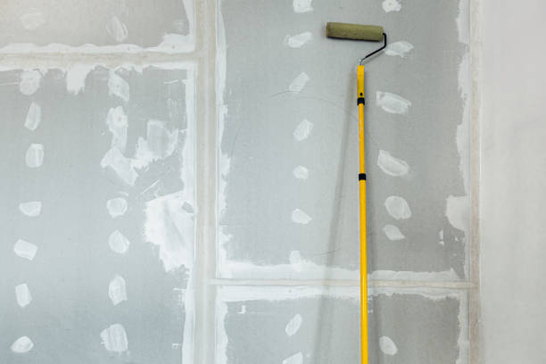 Best Mold Odor Removal Services  in Lincoln, AL