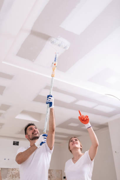Best Emergency Mold Remediation  in Lincoln, AL