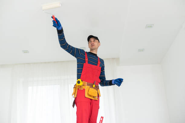 Best Commercial Mold Inspection  in Lincoln, AL