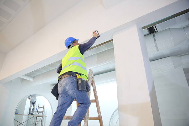 Best Dehumidification Services  in Lincoln, AL