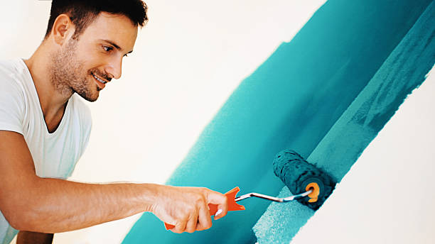 Mold Odor Removal Services in Lincoln, AL