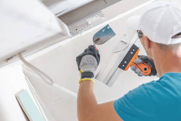 Best Attic Mold Removal  in Lincoln, AL